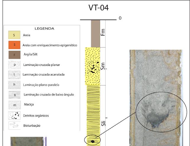Figura 51: Testemunho e fácies no VT-04. Nos detalhes, concentrações de matéria orgânica.