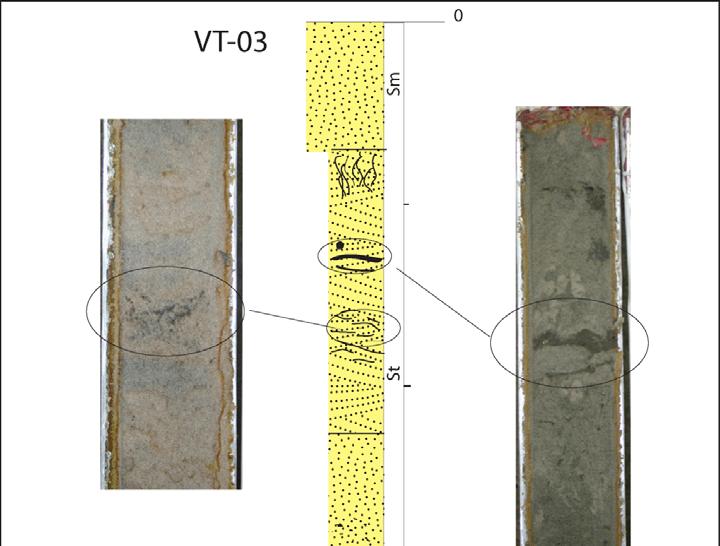 Figura 55: Testemunho e fácies sedimentares do VT-03. O trecho entre 2,20 e 5,35 metros sofreu deformação durante transporte.