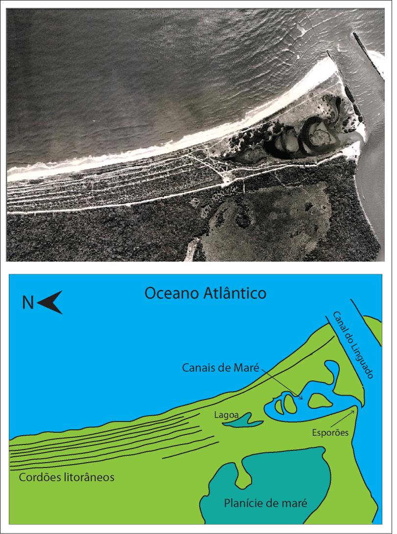teriam isolado pequenas lagunas durante a progradação da barreira. O crescimento destes esporões está provavelmente relacionado a um período de intensa deriva litorânea, como sugerido por Roy et al.
