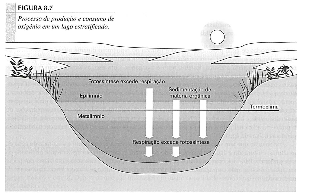 Estratificação térmica de lagos e