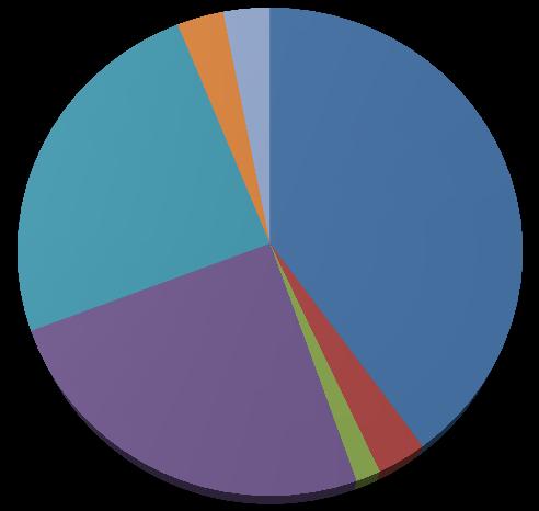 2; % 2; % Etnia 16; 25% 16; 25% 26;