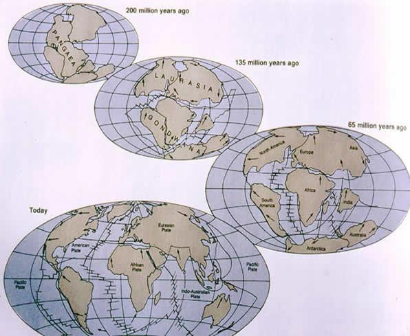 TECTÔNICA DE PLACAS http://www.geog.nau.edu/courses/alew/ggr346/text/maps/continental-drift2.