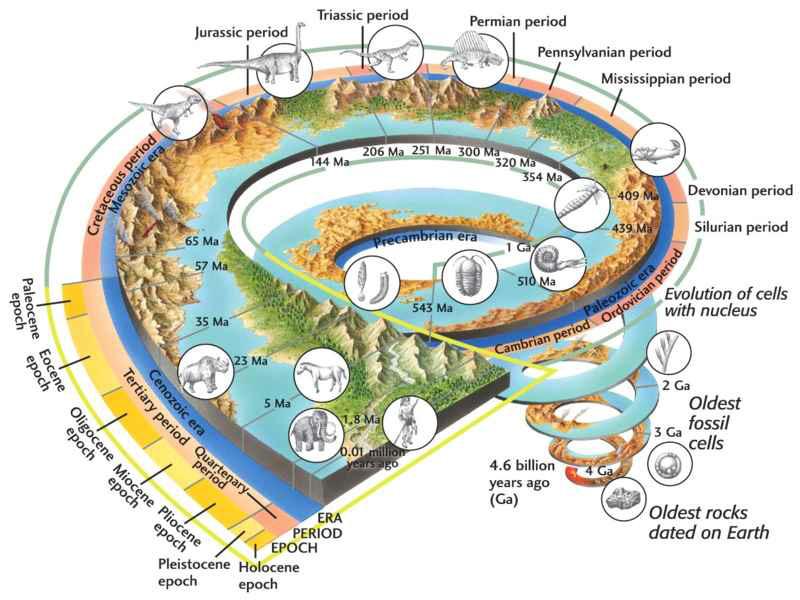 TEMPO GEOLÓGICO