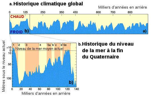 QUATERNÁRIO Evolução de temperaturas e nível do mar http://upload.wikimedia.