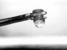 Coluna graduada em centímetros com tubo de Donaldson e água da torneira com pressão de 2 cm H 2 O sem ocorrer escape de liquido através do orifício.