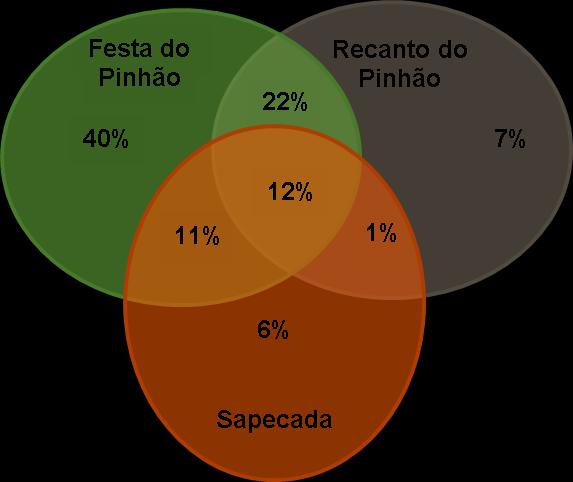 Distribuição da participação dos turistas nos eventos da Festa.