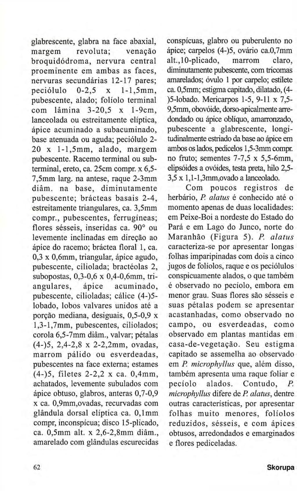 glabrescente, glabra na face abaxial, margem revoluta; venação broquidódroma, nervura central proeminente em ambas as faces, nervuras secundárias 12-17 pares; peciólulo 0-2,5 χ 1-1,5mm, pubescente,