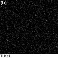 Os difratogramas de raios X (Figura 4) apresentaram apenas picos da fase β, com estrutura cristalina CCC.