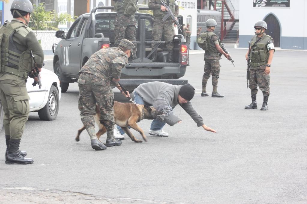 explosivos e drogas, rastrear fugitivos e resgatar pessoas em estruturas desmoronadas, que tenha alta Após