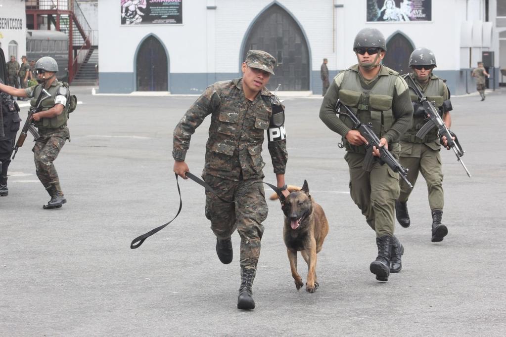 todo tipo de operações de combate em apoio às forças de segurança civil.