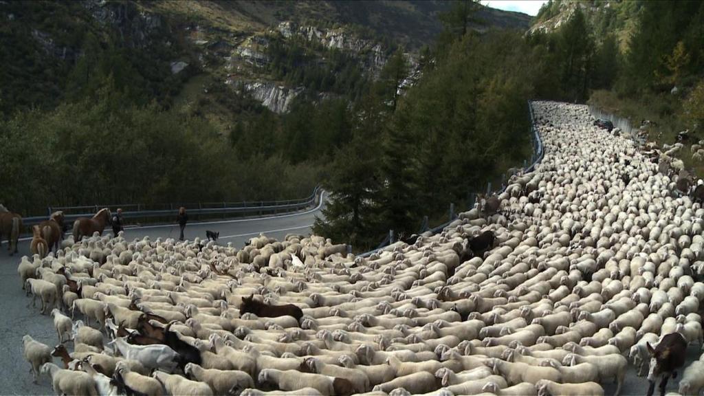 montanhosas Procura sazonal de