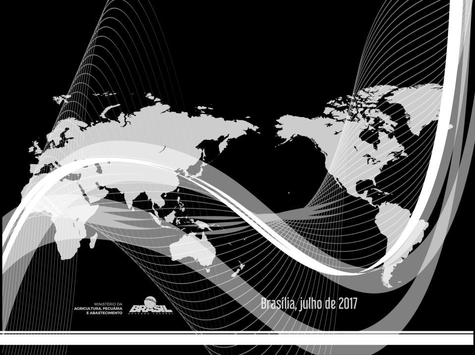 Metodologia CONAB IBGE MAPA EMBRAPA FAPRI (Food and Agricultural Policy Research Institute ) USDA (United States Department of Agriculture) Modelos de Séries