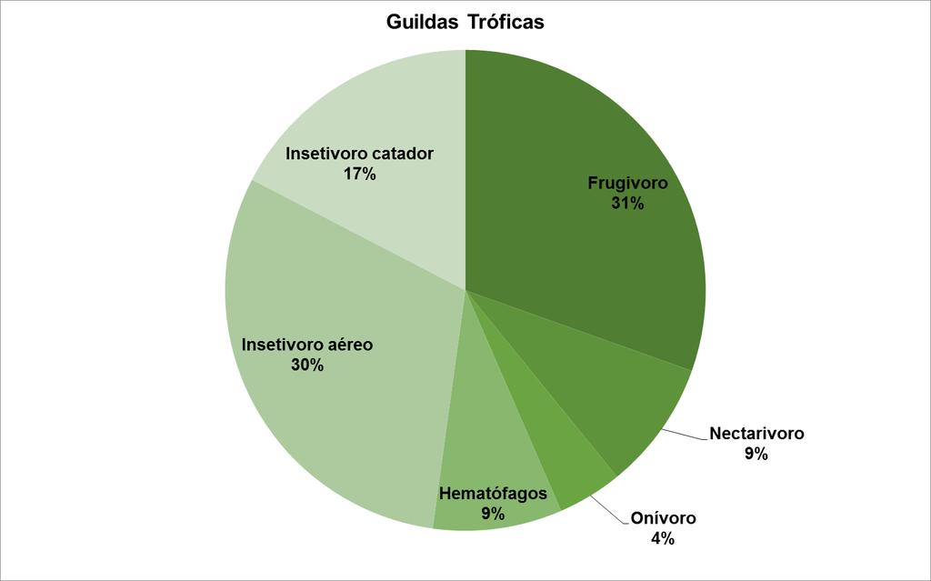 Guilda Trófica Espécies Nº de espécies (%) Frugivoro Artibeus lituratus, A. obscurus, A. fimbriatus, Platyrrhinus lineatus, P. recifinus, Sturnira 7 30,43 lilium, Carollia perspicillata.