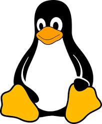 utilizado em PCs e Notbooks Linux