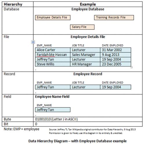 Fonte: Management Information