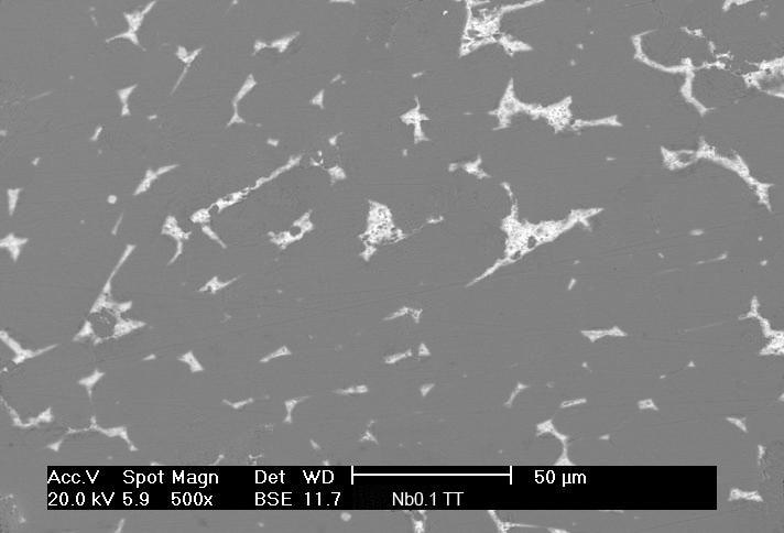 CAPÍTULO 5 RESULTADOS E DISCUSSÕES 54 Pr 3 Fe φ Figura 21 Micrografia obtida por MEV com aumento de 500x da liga de Pr 14 Fe 79,9 B 6 Nb 0,1. Com tratamento térmico de 20 horas a 1100ºC.