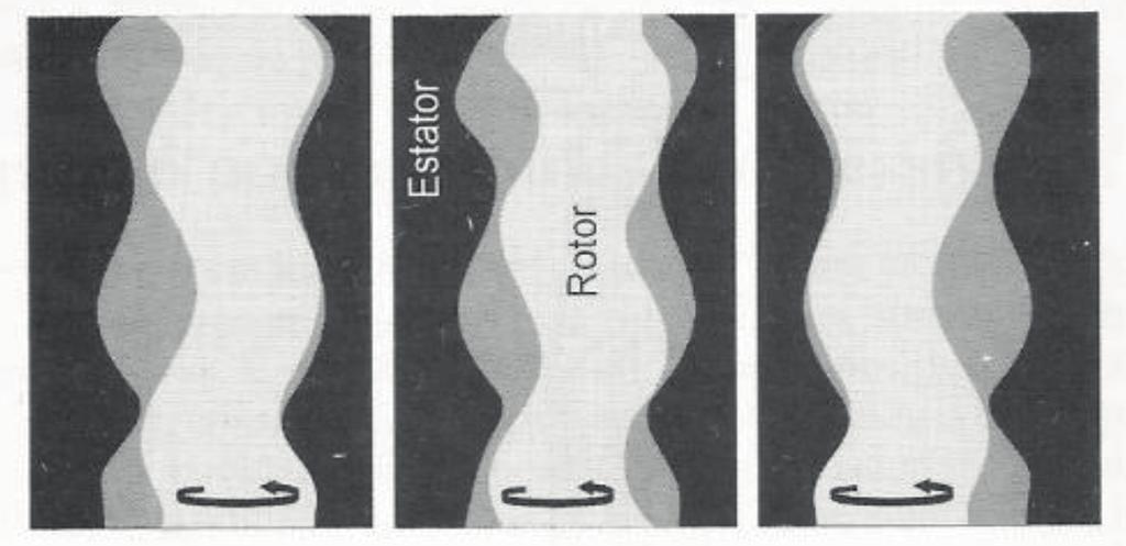 Cadernos de Graduação 123 Figura 2 geometria do rotor, estator e variação das cavidades Fonte: Thomas (2014). 4.