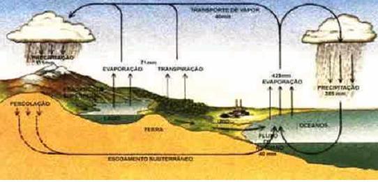 6 Os elementos químicos encontrados no meio ambiente sofrem constantes modificações envolvendo atividades biológicas, químicas e fenômenos geológicos, denominados ciclos biogeoquímicos, entre eles