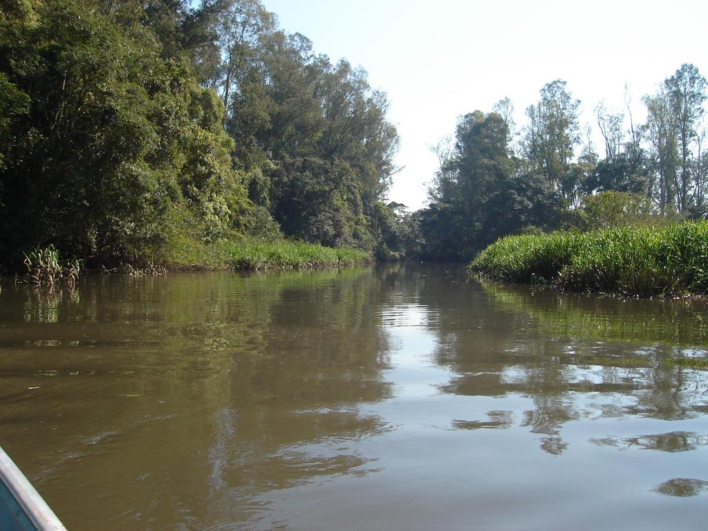 O arroio Pampa chega até o rio dos Sinos por canal construído em 1984.