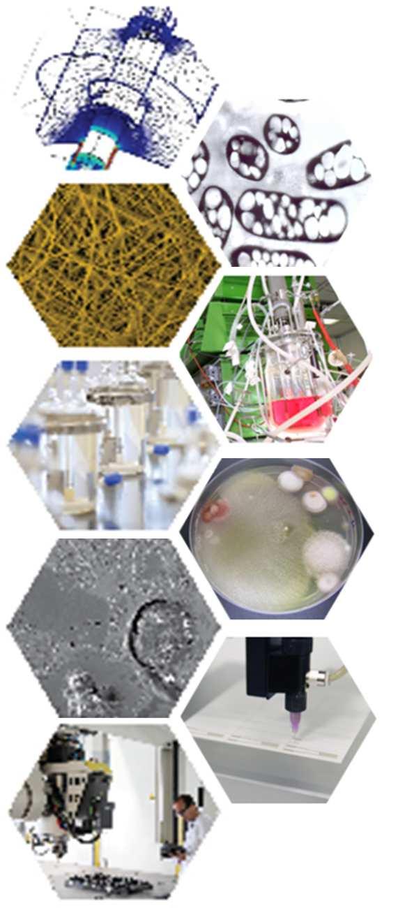 Unidades Embrapii Materiais Ligas metálicas e materiais resistentes ao desgaste Nanopartículase Materiais nanoestruturados Materiais resistentes à corrosão
