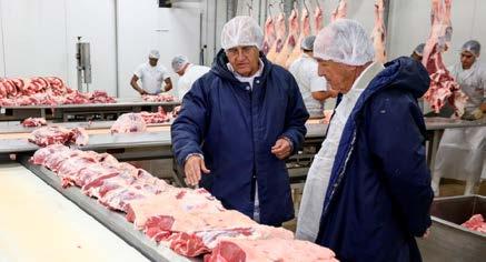 Foi este Nelore que fez o País ser o maior exportador de carne do mundo.