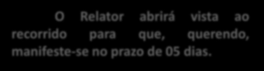 O Relator abrirá vista ao recorrido para que, querendo,