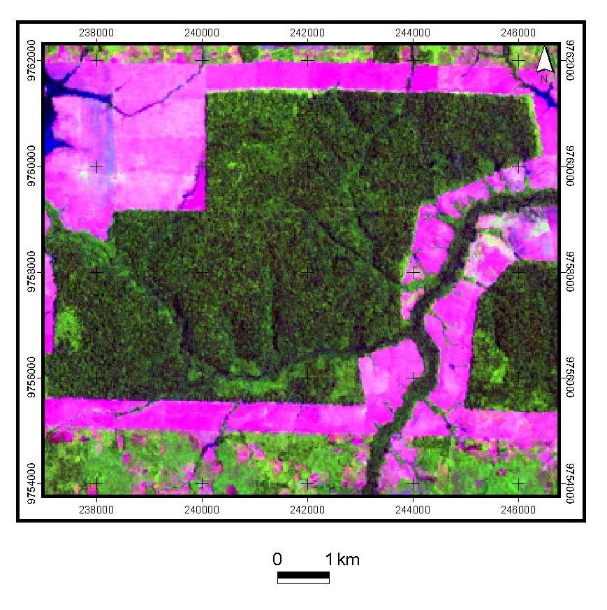 Figura 2: Imagem de satélite Landsat ETM + 7/2002, composição colorida 5R4G3B e classificação supervisiona do fragmento do município de Capitão Poço. 4.