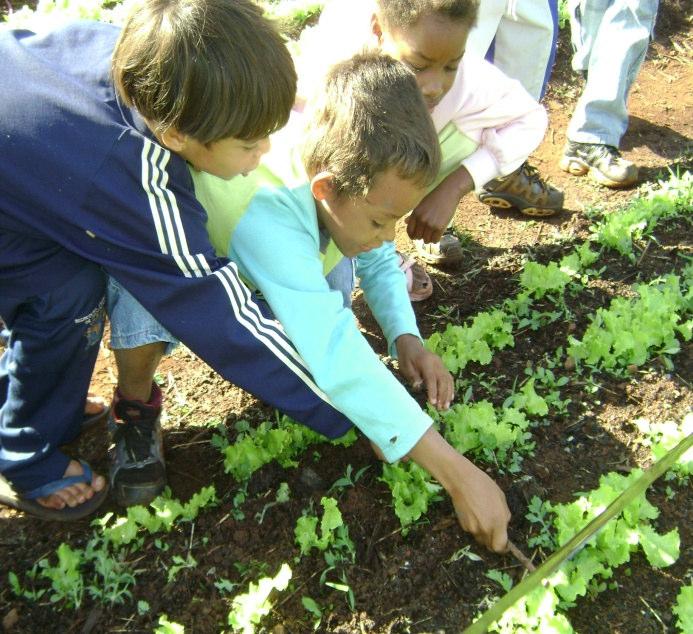 importância do cultivo e dos