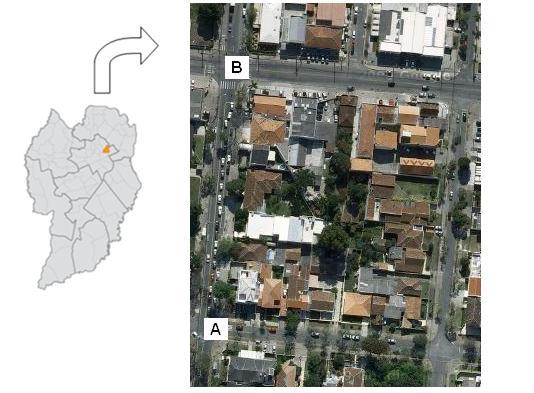 Em ambos os lados desta rua existem exemplares de Tabebuia crhysotricha (Mart. Ex DC.) Standl.