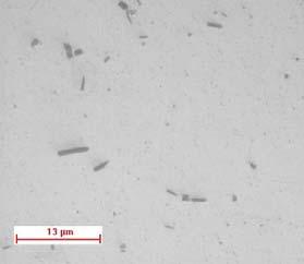 polidos e submetidos ao ataque eletrolíticos de NaOH e HNO 3, para em seguida serem analisados pela microscopia óptica e eletrônica de varredura (MEV).