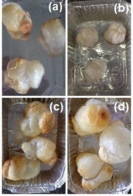 70 Wang, Jin e Yuan (2007) obtiveram resultados semelhantes ao do presente trabalho ao desenvolverem extrusados a partir de misturas amido-goma utilizando o amido de milho e diferentes concentrações
