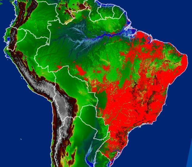 PECUÁRIA ~ 172 milhões hectares OUTRAS LAVOURAS: Permanentes: ~12 milhões hectares Temporária: 4 milhões hectares PECUÁRIA ~?