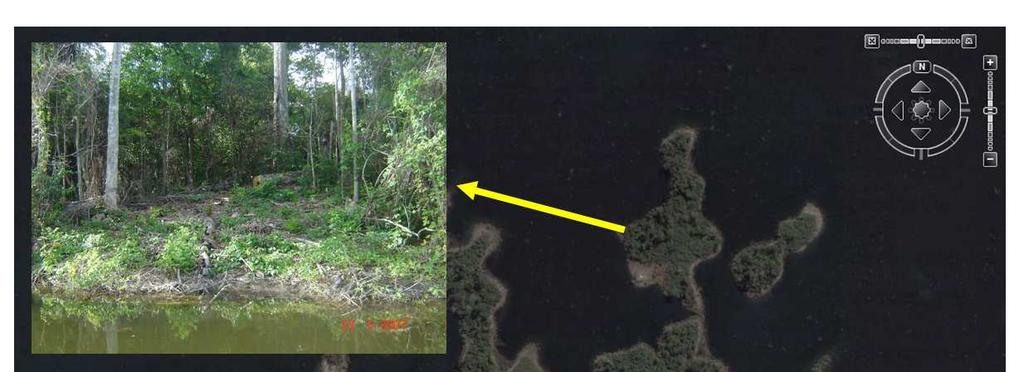 55 Figura 21 Imagem de satélite mostrando o uso e ocupação em uma das ilhas da UHE de Tucuruí, usadas para a agricultura familiar e extração madeireira.