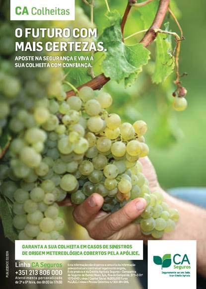 Seguro Vitícola de Colheitas Segura dedicado a Uva com aptidão Vinho Seguro Bonificado em 50% ou 80% Que permite: Aos Tomadores do Seguro pagarem menos Às Seguradoras praticarem tarifas de