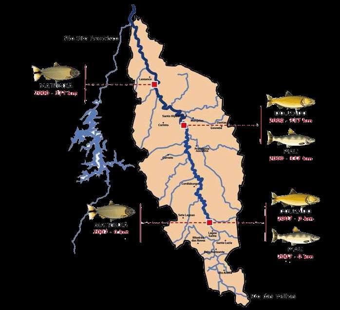 principal afluente do Rio São Francisco; 51 municípios; 5% da