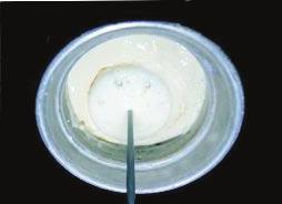 Procedimentos para coleta e envio de amostras de leite para determinação da composição e das contagens de células somáticas e de bactérias totais 5 se houver dois latões, sendo um cheio e outro pela