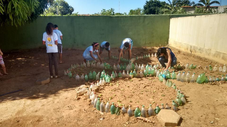 Não houve necessidade de controle de pragas, pois não houve infestação das mesmas no período de cultivo.