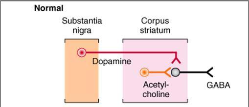 ANTIPARKINSÓNICOS Doença crónica e progressiva do SNC causada por um défice de dopamina no sistema