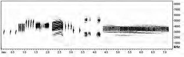 85 Lpo Pce Sfv Lfs Pcu Ena Ssi Hal Csc Lla Figura 4 Estrutura das notas (sonogramas) do canto de anúncio de dez espécies, registradas nos corpos d água amostrados em Icém, São Paulo, que