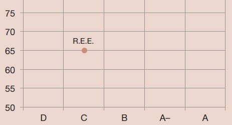 Performance Rating de