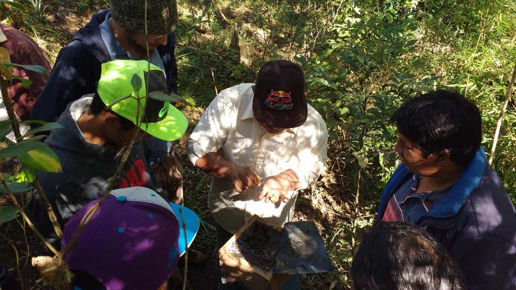 Troca de conhecimento e experiência entre o indígena meliponicultor Guarani Claudinei Vargas e os indígenas Kaingang da T.I.