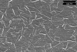 (b) Aparência geral da amostra cavitada nos primeiros estágios de perda de massa, 4 h de cavitação, neste período observa-se tênue arrancamento de material, porém não há mudança significativa da