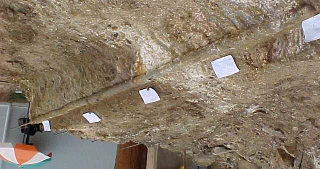 A exumação dos grampos revelou a ocorrência de pacotes de siltes areno-argilosos derivados de rochas do tipo quartzito e pegmatito no local onde este grampo foi executado (Figura 5.9).