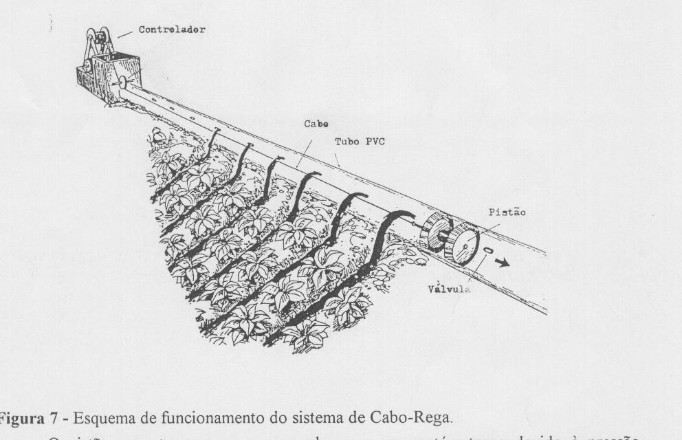 Rega com caudais decrescentes.