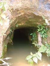 criação de peixes e da horta de subsistência.