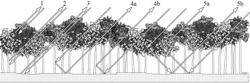 Vegetação - Modelagem de variáveis florestais Estimativa da biomassa a partir das variáveis polarimétricas (radar): BM = 191,8 10,595 τ_m1 11,562 α_s1 + 634,6 H 463,9 Na r 2 =0,35, p=0,004 erro=54,32