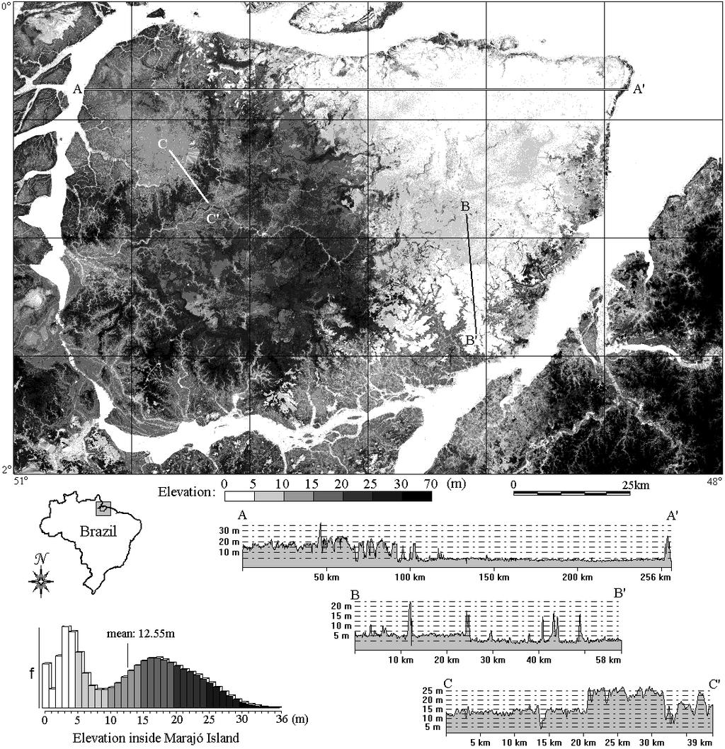 Vegetação efeito dossel sobre dados SRTM Ilha