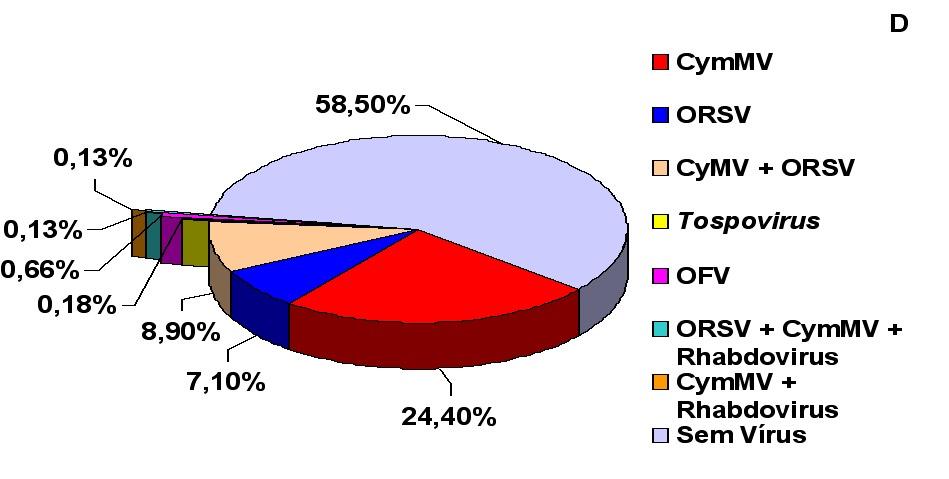 Tospovirus CMV TSV Viróides B RT-PCR A reação de transcrição reversa (RT) e a reação em cadeia pela polimerase (PCR) foram realizadas nas condições descritas por ALEXANDRE et al.