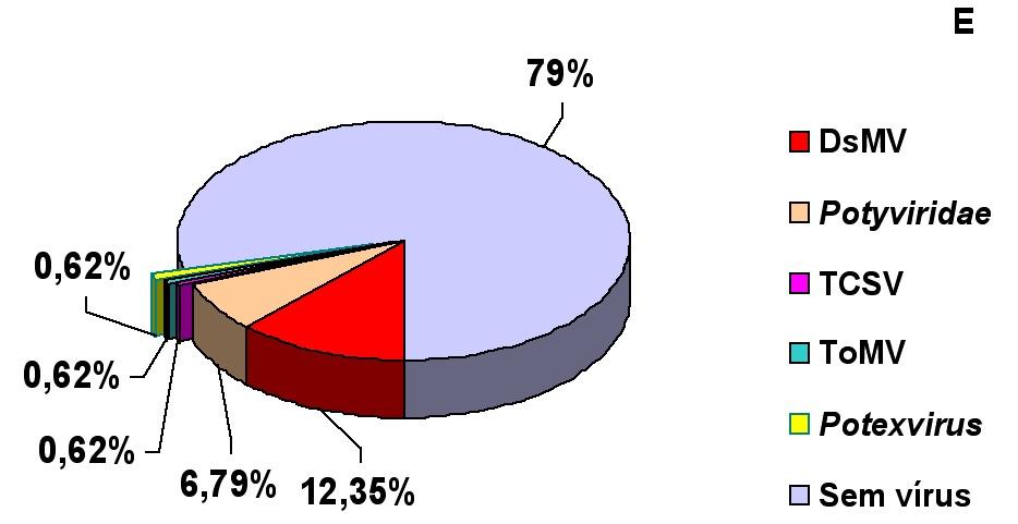 Os produtos obtidos na PCR foram analisados em gel de agarose 2% e visualizados em um transiluminador (UV).