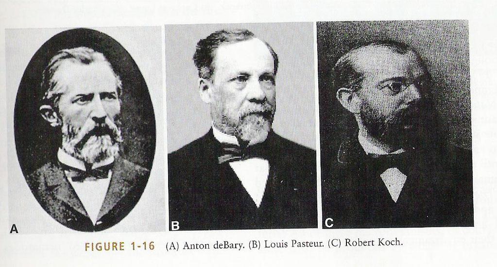 A virologia continuava obscura até antão: De Barry, 1861: identifica o agente